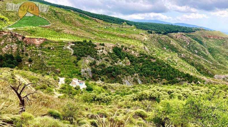 Granada - Talará - 100000m2