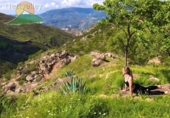 Finca rústica en venta en la España, Talará, ref: TR199468 foto