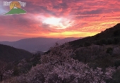 Finca rústica en venta en la España, Talará, ref: TR199468 foto