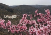 Finca rústica en venta en la España, Talará, ref: TR199468 foto