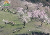 Finca rústica en venta en la España, Talará, ref: TR199468 foto