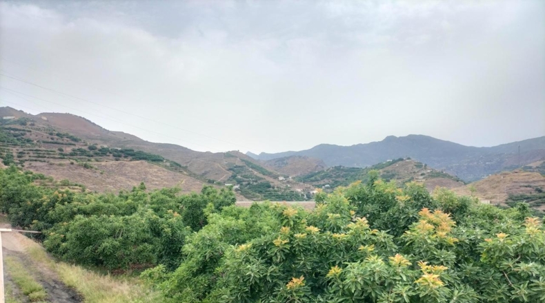 Granada - Torrecuevas - 4779m2