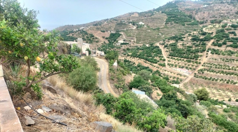Granada - Torrecuevas - 4779m2