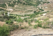 Finca rústica en venda a Almuñécar ref.: TR199873 foto