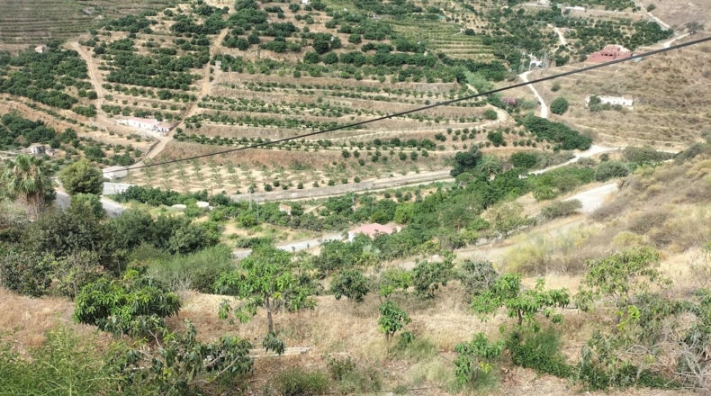 Granada - Torrecuevas - 4779m2