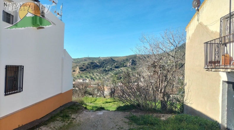Granada - Olivares - 20000m2