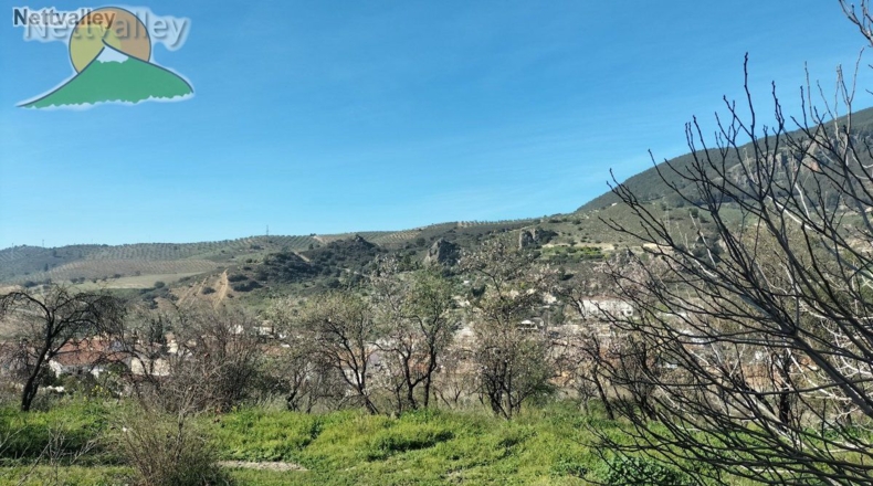 Granada - Olivares - 20000m2