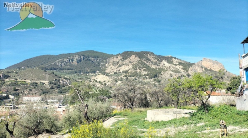 Granada - Olivares - 20000m2