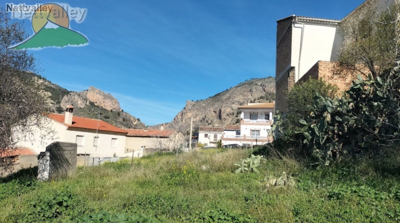 Granada - Olivares - 20000m2