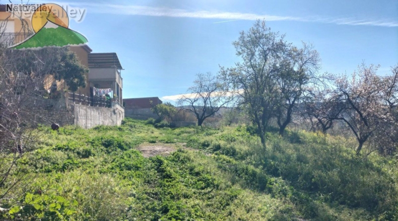 Granada - Olivares - 20000m2