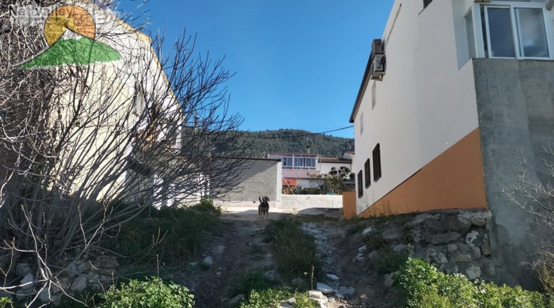 Granada - Olivares - 20000m2