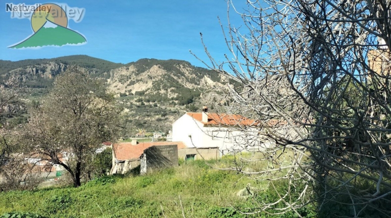 Granada - Olivares - 20000m2