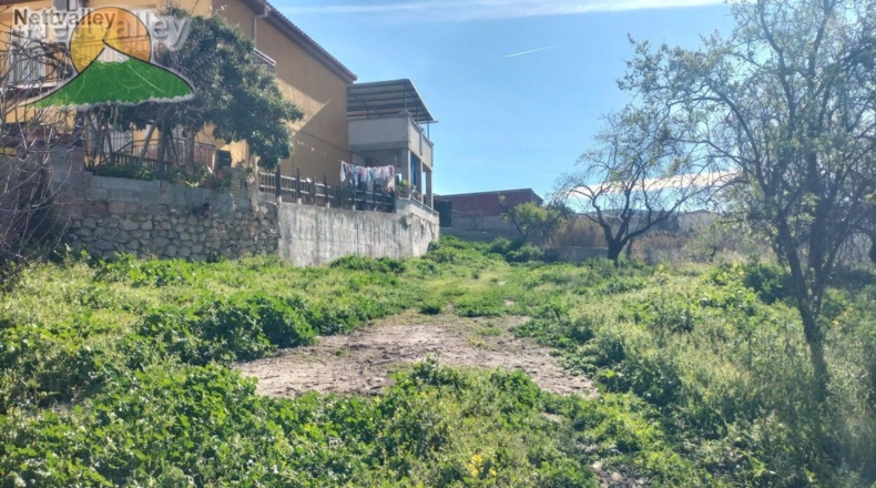 Granada - Olivares - 20000m2