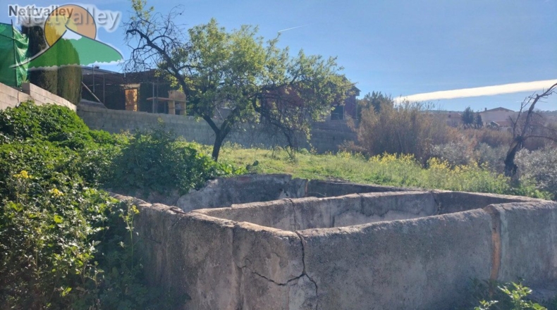 Granada - Olivares - 20000m2