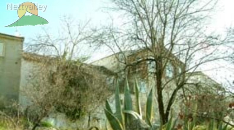 Granada - Olivares - 20000m2