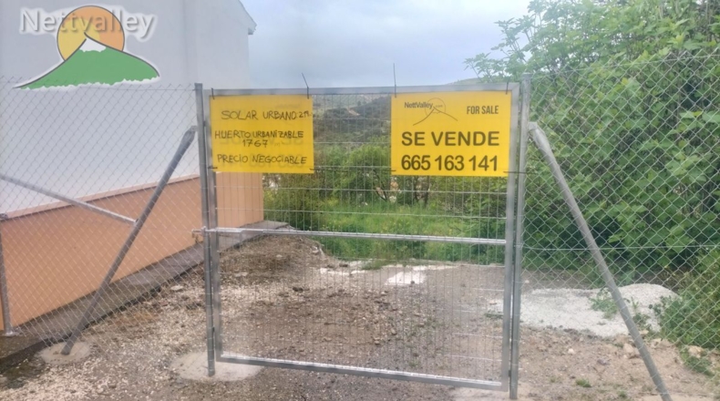 Granada - Olivares - 20000m2