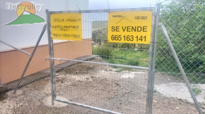 Granada - Olivares - 20000m2