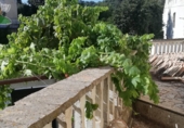Xalet independent amb terreny en venda a la España, Pinos del Valle, ref.: TR183268 foto