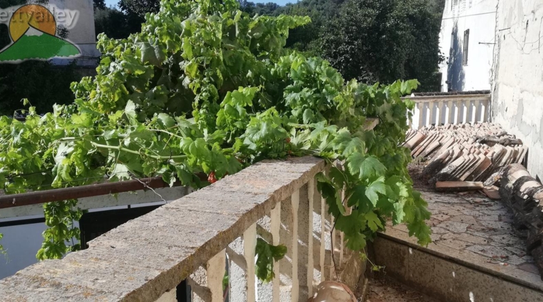 Granada - Pinos del Valle - 432m2