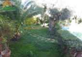 Chalet independiente con terreno en venta en la España, Gójar, ref: TR388198 foto