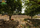 Finca rústica en venta en la España, Albuñuelas, ref: TR263219 foto