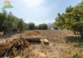 Finca rústica en venta en la España, Albuñuelas, ref: TR263219 foto