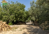 Finca rústica en venta en la España, Albuñuelas, ref: TR263219 foto