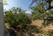 Finca rústica en venta en la España, Albuñuelas, ref: TR263219 foto