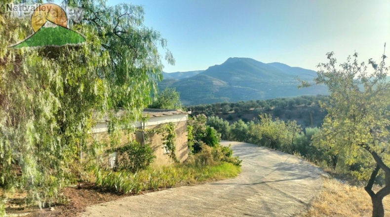 Granada - Granada - 258m2