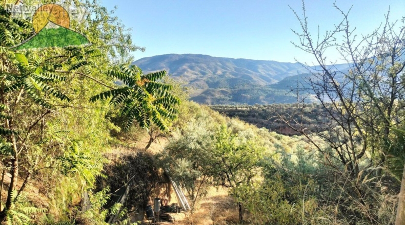 Granada - Granada - 258m2