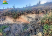Terreno no urbanizable en venta en la España, Peloteos, ref: TR199471 foto