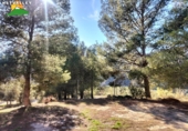 Terreno no urbanizable en venta en la España, Peloteos, ref: TR199471 foto