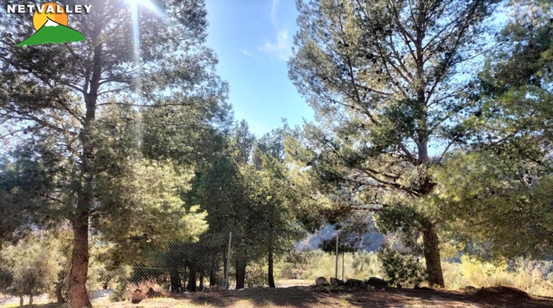Granada - Béznar - 20000m2