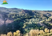 Terreno no urbanizable en venta en la España, Peloteos, ref: TR199471 foto