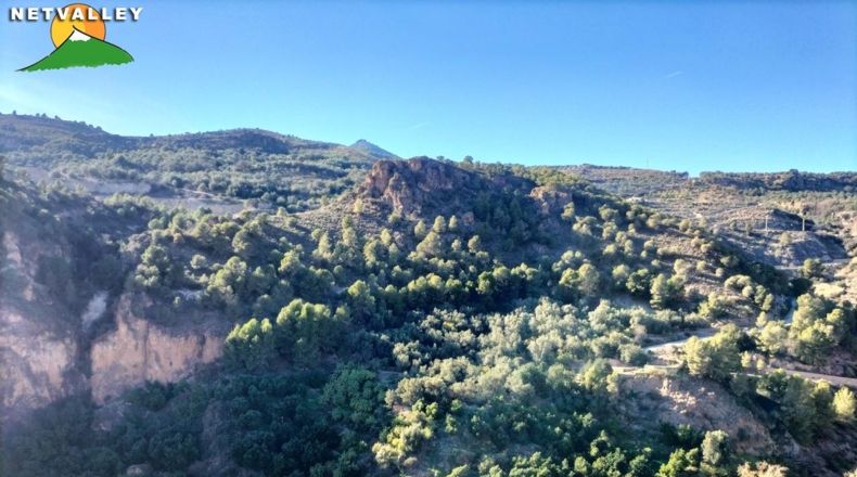 Granada - Béznar - 20000m2