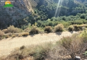 Terreno no urbanizable en venta en la España, Peloteos, ref: TR199471 foto