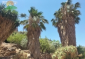 Finca rústica en venta en Lanjarón ref: TR189184 foto