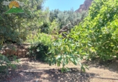 Finca rústica en venta en Lanjarón ref: TR189184 foto