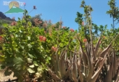 Finca rústica en venta en Lanjarón ref: TR189184 foto