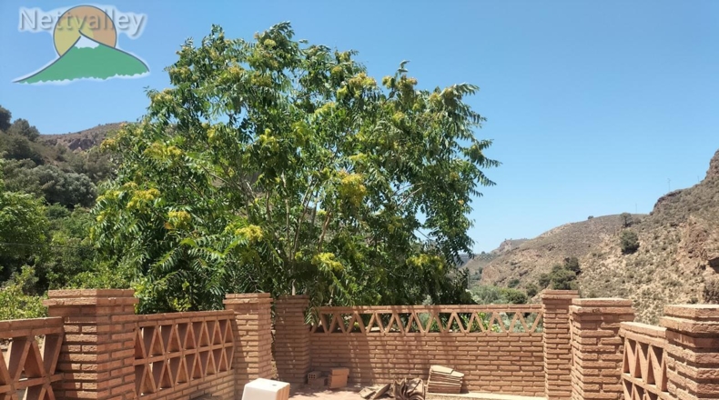 Granada - Ízbor - 43260m2