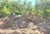 Finca rústica en venta en Lanjarón ref: TR189184 foto
