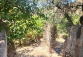 Finca rústica en venta en Lanjarón ref: TR189184 foto