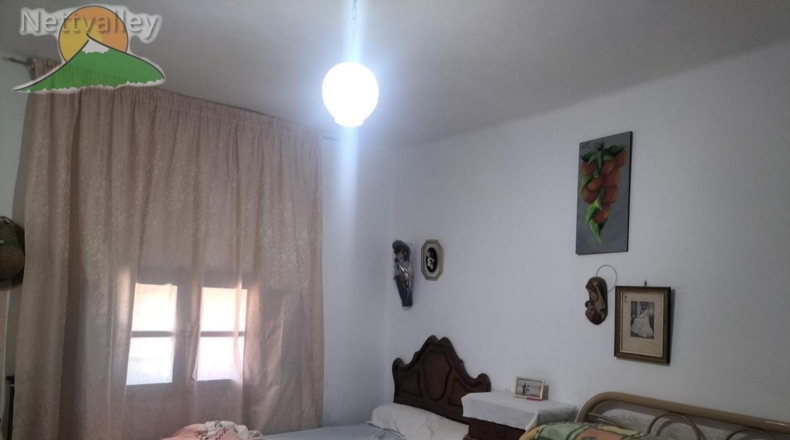 Granada - Ízbor - 43260m2