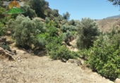 Finca rústica en venta en Lanjarón ref: TR189184 foto