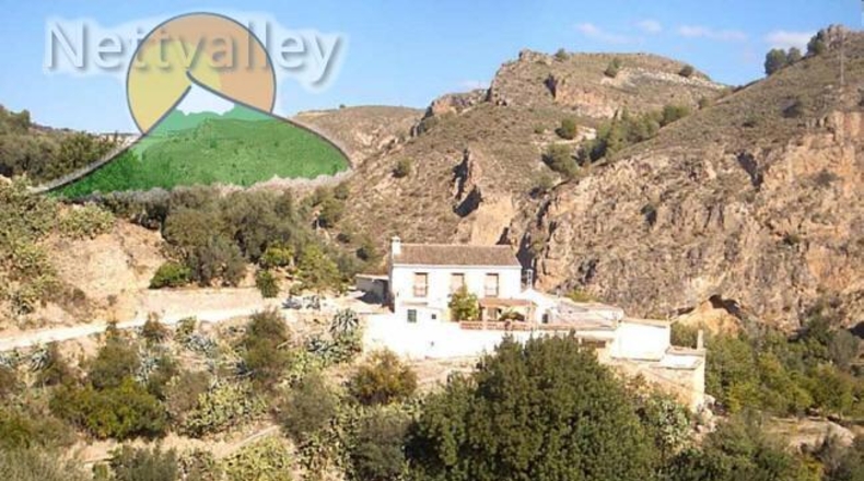 Granada - Ízbor - 43260m2