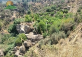 Finca rústica en venta en Lanjarón ref: TR189184 foto