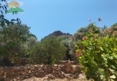 Finca rústica en venta en Lanjarón ref: TR189184 foto