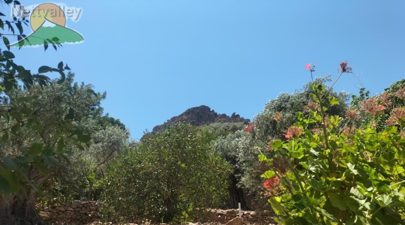 Granada - Ízbor - 43260m2