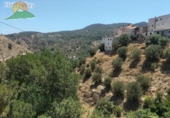Finca rústica en venta en Lanjarón ref: TR189184 foto