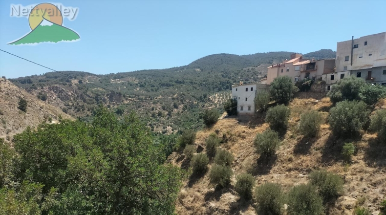 Granada - Ízbor - 43260m2